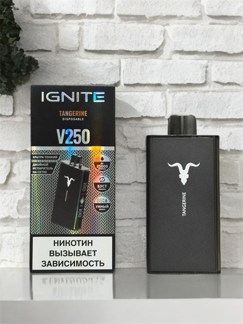 Ignite V250 25000 - 25000 затяжек 5980