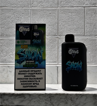 Gang Snow 21000 - 21000 затяжек с 4 режимами регулировки холодка 6718