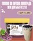 Топпинг виноградное желе для бабл ти Bubble Tea 2.2 кг 6336